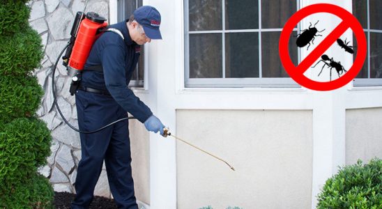 Evka 1 Kemirgen İlaçlama böcek ilaçlama ve haşere kontrolü — ilaclama-tr.com